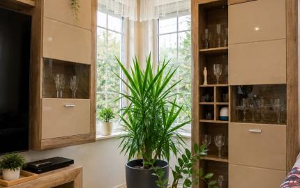 Veľký rodinný dom s kanceláriou pri Dunaji | 435 m²| pozemok 1 909 m² | Dunakiliti