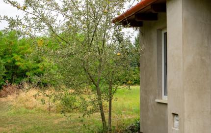 Veľký rodinný dom s kanceláriou pri Dunaji | 435 m²| pozemok 1 909 m² | Dunakiliti