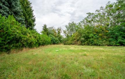 Veľký rodinný dom s kanceláriou pri Dunaji | 435 m²| pozemok 1 909 m² | Dunakiliti