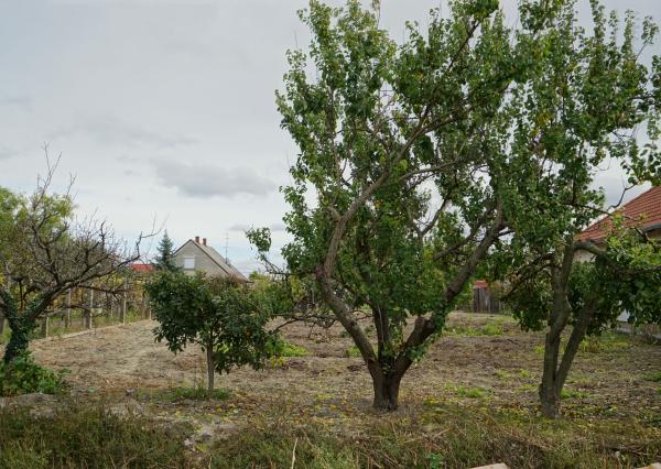 Novostavba rodinného domu na kľúč v starej Rajke pri Bratislave • 4 izby • pozemok 498 m²