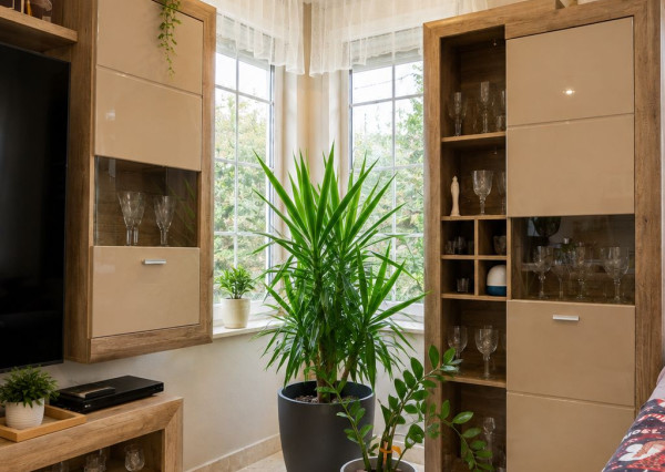 Veľký rodinný dom s kanceláriou pri Dunaji | 435 m²| pozemok 1 909 m² | Dunakiliti