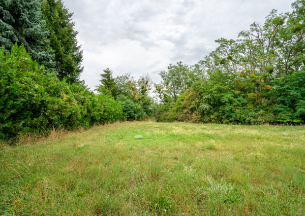Veľký rodinný dom s kanceláriou pri Dunaji | 435 m²| pozemok 1 909 m² | Dunakiliti