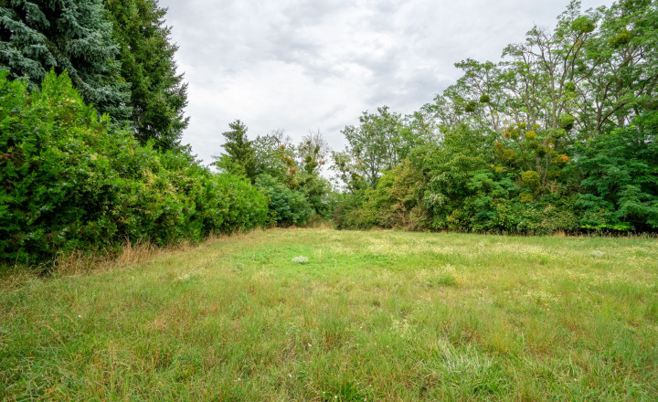 Veľký rodinný dom s kanceláriou pri Dunaji | 435 m²| pozemok 1 909 m² | Dunakiliti - fotografia 5