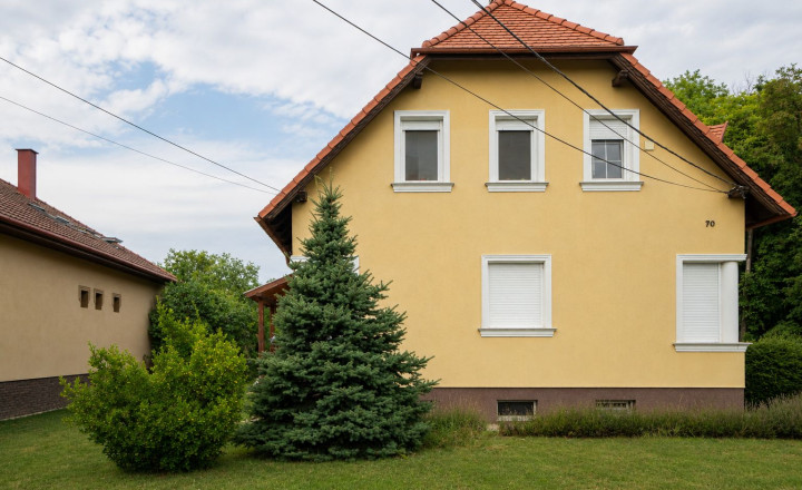 Veľký rodinný dom s kanceláriou pri Dunaji | 435 m²| pozemok 1 909 m² | Dunakiliti - fotografia 31